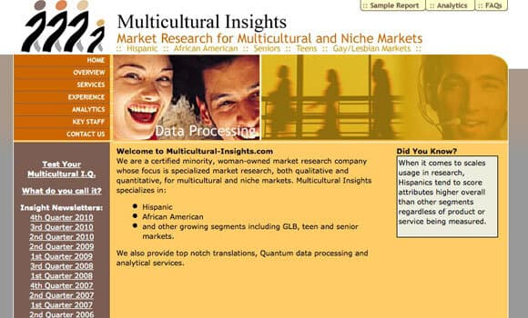Multicultural Insights